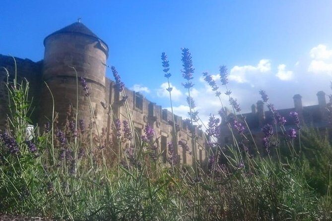 St Andrews, Falkland and Fife Villages Tour from Edinburgh - A Detailed Look at the Tour Experience