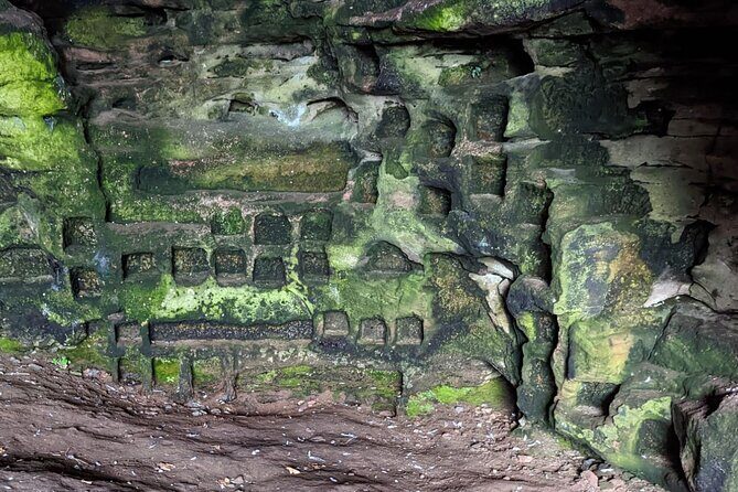 St Andrews, Fife Coast Walk & Historic Abbey Tour from Edinburgh - Final Thoughts: Who Will Love This Tour?