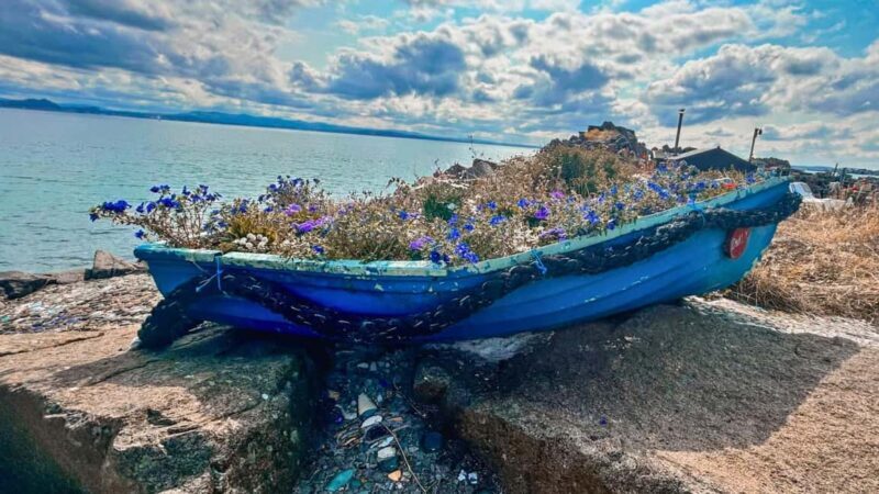 St Andrews Fishing Villages Fife Private Tour from Edinburgh - Final Thoughts