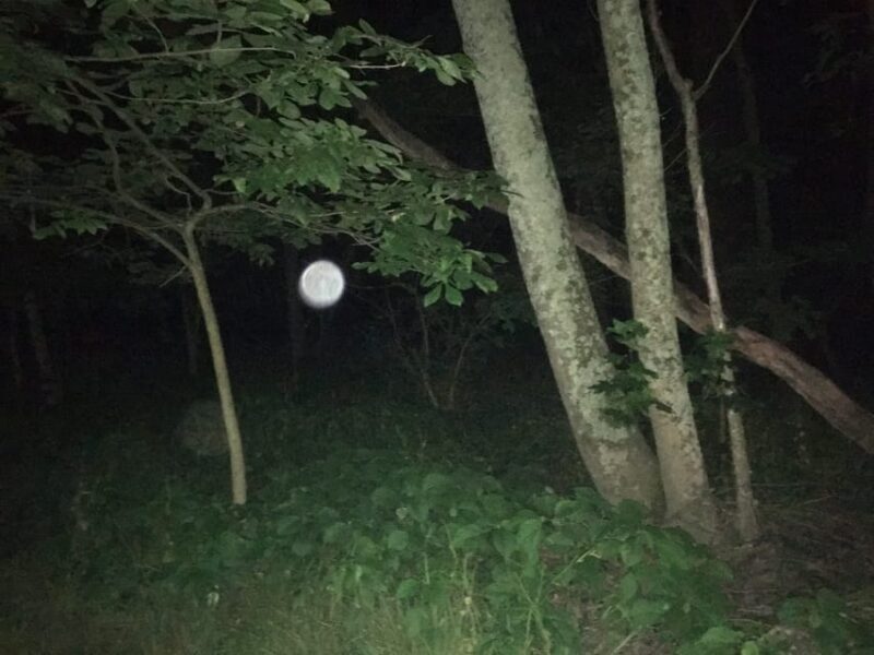 St. Augustine: Devil's Hour Paranormal Investigation Tour - FAQ