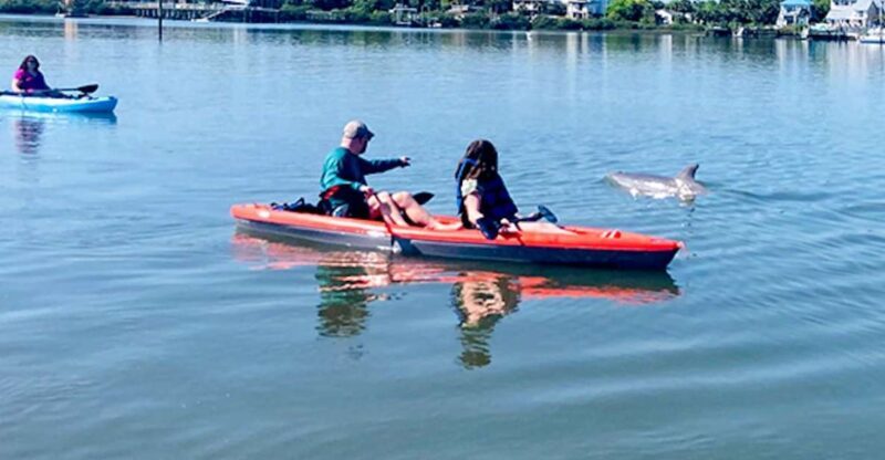 St. Augustine: Dolphin and Manatee Paddle or Kayak Tour - A Closer Look at the Experience