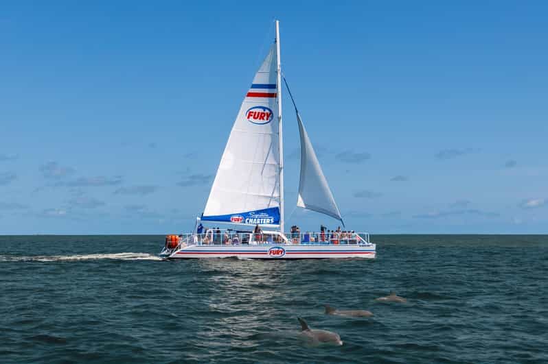 St. Augustine: Dolphin Watching Harbor Tour with Drinks - Final Thoughts