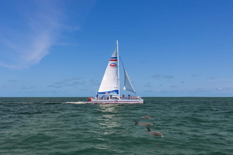 St. Augustine: Dolphin Watching Harbor Tour with Drinks - FAQ
