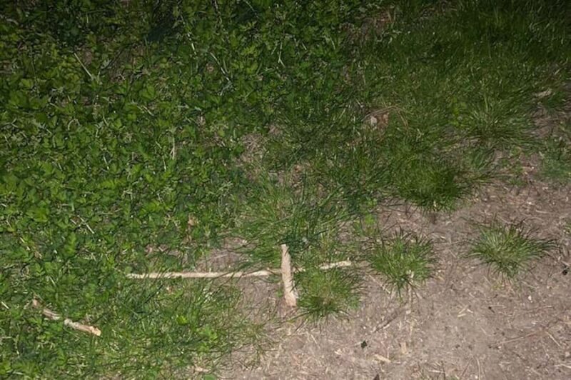 St. Augustine: Evening Paranormal Investigation Tour - The Full Scoop on the Paranormal Investigation Tour