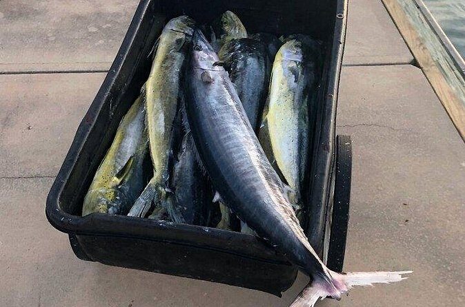 St. Augustine Fishing Charter Experience - FAQ