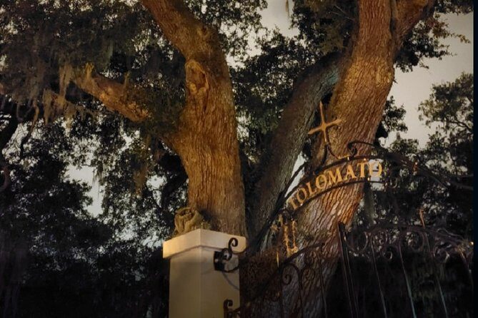 St. Augustine Ghost Tour: A Ghostly Encounter - Frequently Asked Questions