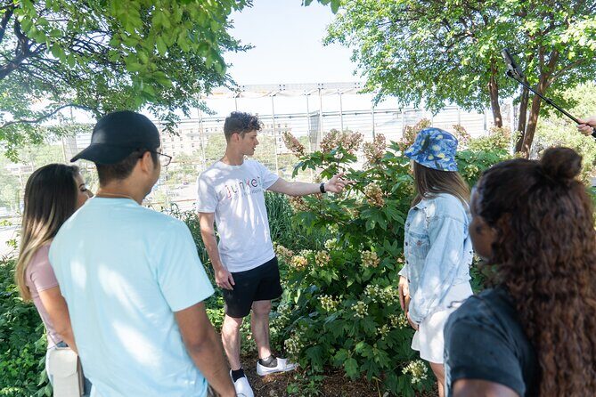 St. Augustine: Old City World of Pirates Experience - Who Will Love This Tour?