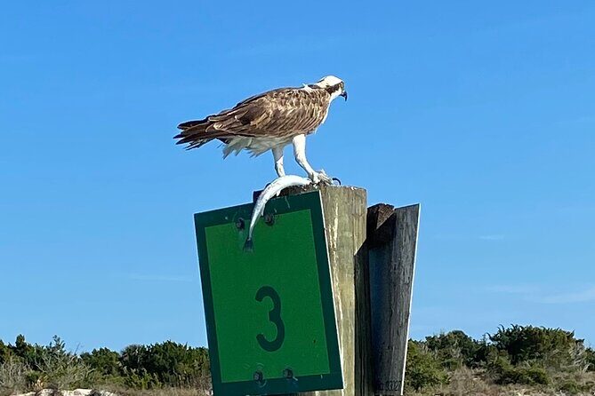 St Augustine Sunset Boat Tour - Frequently Asked Questions