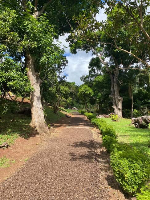 St. George's: Half-day spice and waterfall tour - Overview and First Impressions