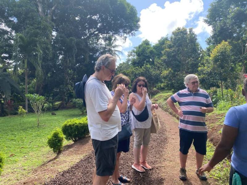 St. George's: Half-day spice and waterfall tour - Final Thoughts