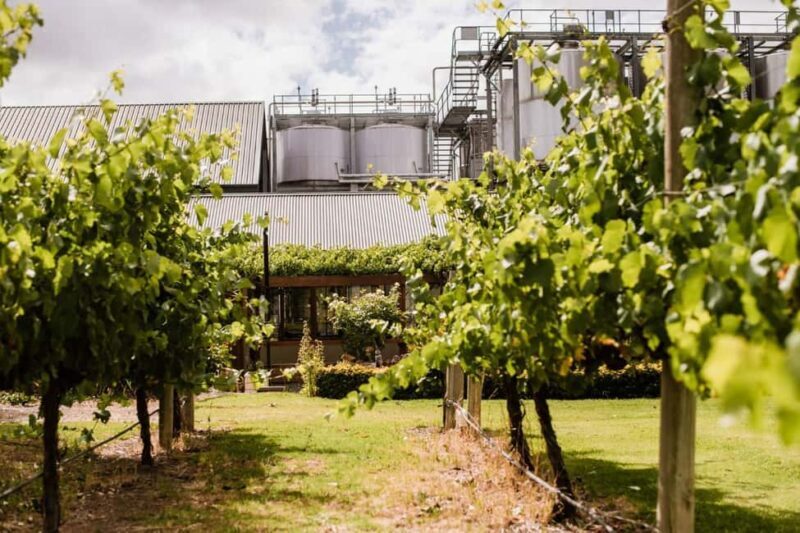 St Hallett - Barossa Masters of Shiraz Tasting & Platter - Who Would Enjoy This Experience?