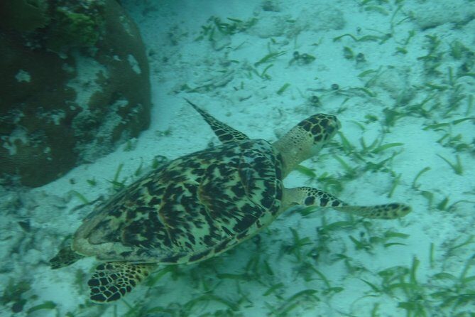 St John & Surrounding Cays - Full-Day Sail/Snorkel, 6 Guests Max - Is This Tour Worth It?