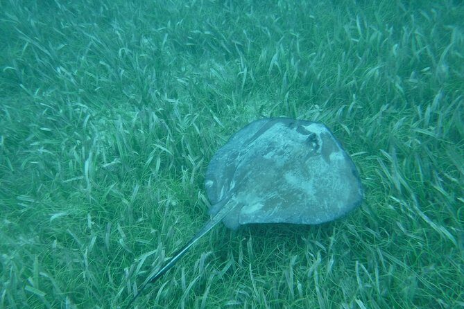 St John & Surrounding Cays - Full-Day Sail/Snorkel, 6 Guests Max - Who Will Love This Tour?