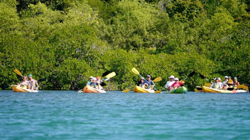 St. John's, Antigua Kayak, Snorkeling, & Beach Bird Island - An Authentic Taste of Antigua’s Natural Beauty