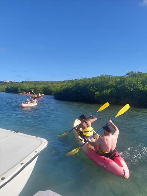 St. John's, Antigua Kayak, Snorkeling, & Beach Bird Island - What Makes This Tour Stand Out