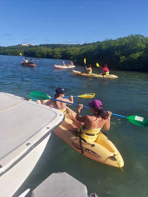 St. John's, Antigua Kayak, Snorkeling, & Beach Bird Island - Summing Up: Who Should Take This Tour?