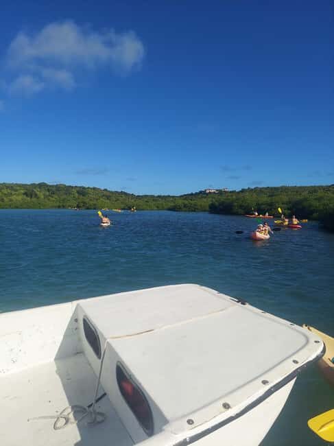 St. John's, Antigua Kayak, Snorkeling, & Beach Bird Island - Frequently Asked Questions