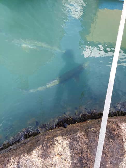 St. John's: Discover The Real Antigua Island Tour Experience - Exploring the Itinerary in Detail