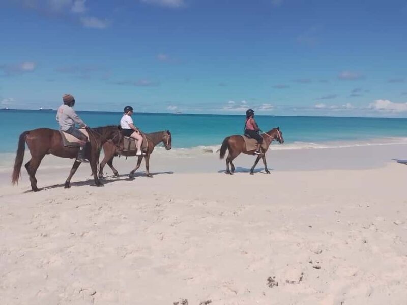 St. Johns: Horseback Riding Bareback Swim, &Fort James Beach - Key Points
