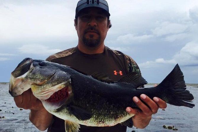 St Johns River Fishing Trip near Daytona - The Sum Up