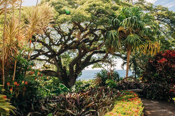 St. Kitts Full Island Excursion - Exploring the St. Kitts Full Island Excursion in Detail