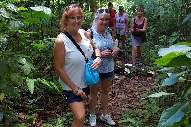 St Kitts Half-Day Rainforest Tour - Exploring the Heart of St. Kitts: The Half-Day Rainforest Tour