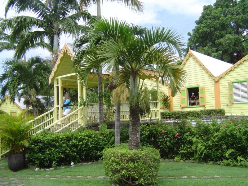 St. Kitts Island Half-Day Bus Tour - Key Points