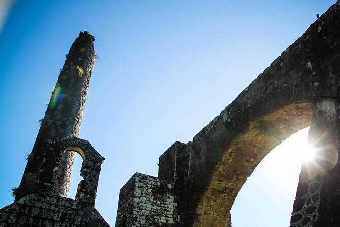 St. Kitts Rainforest Tour - Why Choose the St. Kitts Rainforest Tour?