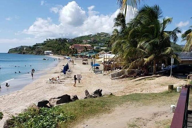 St Kitts Scenic Island Tour For Private Groups - Who Is This Tour Best For?