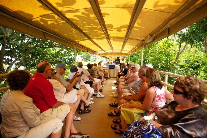 St Kitts Scenic Train Tour (Hotel or Ship) - A Closer Look at the St Kitts Scenic Railway Tour