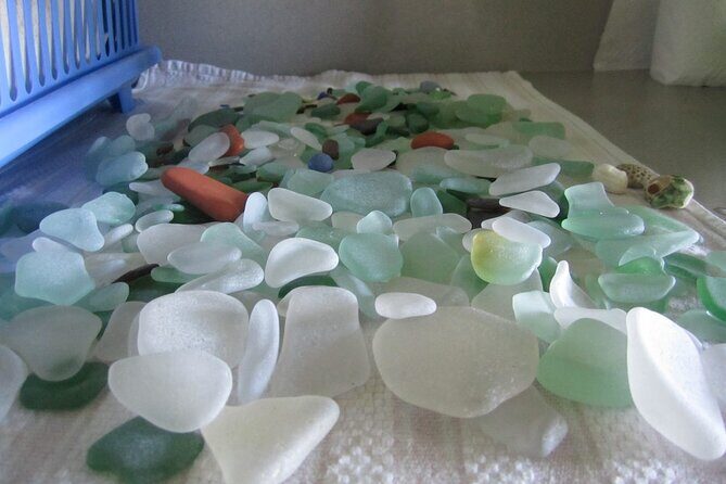 St.Kitts Sea Glass & Volcanic Black Sand Beach Day - Experience the Charm of St. Kitts Sea Glass & Black Sand Beach Day