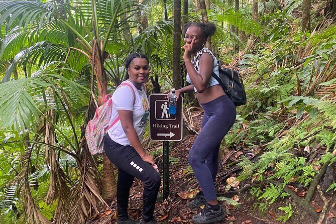 St.Kitts Volcano Hike To Mt. Liamuiga (Highest Peak On Island) - Who Will Love This Tour?