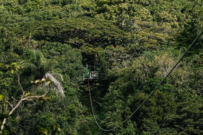 St. Kitts Zipline Experience - Itinerary Breakdown