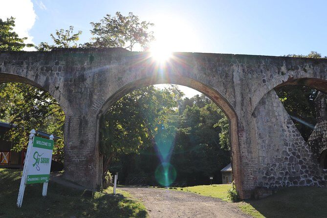 St. Kitts Zipline Experience - Who Should Consider This Tour?