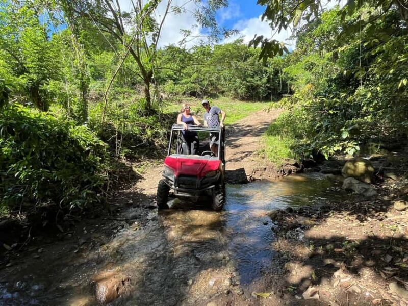 St. Kitts:Countryside Dune Buggy Tour - Final Thoughts
