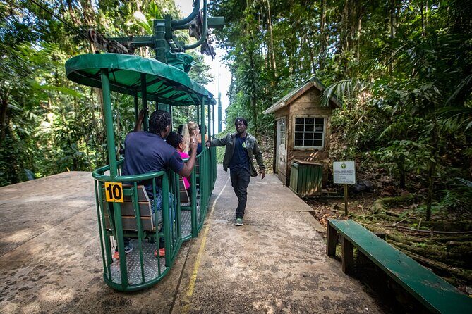 St. Lucia Aerial Tram Tour at Rainforest Adventures - A Closer Look at the Rainforest Aerial Tram Experience