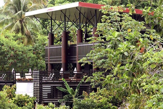 St Lucia Airport Transfer to Hotel Chocolat - A Detailed Look at Your Transfer Experience