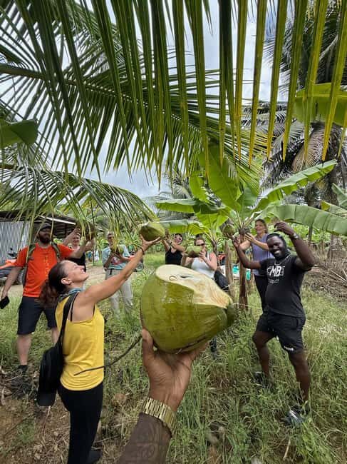 St. Lucia: ATV Tour with Beach Ride and Rum Tasting - A Quick Look at the Experience