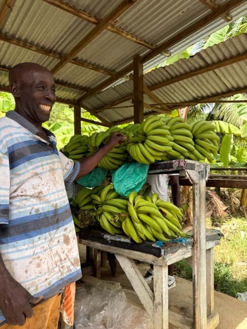 St. Lucia: ATV Tour with Beach Ride and Rum Tasting - The Ride Through Banana Plantations and Rainforest Trails