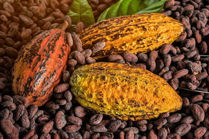 St Lucia Coffee Crop to Cup and Cocoa Bean to Chocolate Bar Tour - Key Points