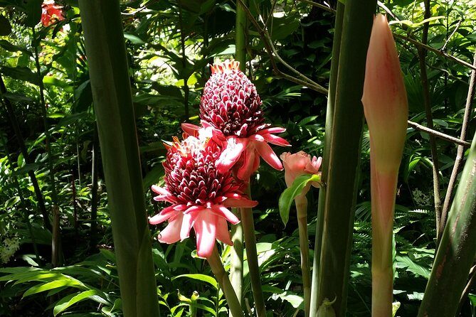 St Lucia Diamond Mineral and Mud Baths Plus Waterfall Adventure - Frequently Asked Questions