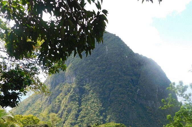 St Lucia Gros Piton Climb Challenge - An In-Depth Look at the Gros Piton Climb Challenge
