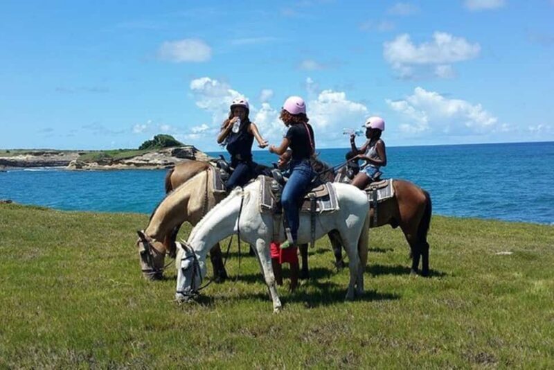 St. Lucia: Horseback Riding Adventure - Discover the Scenic Beauty of Saint Lucia on a Horseback Riding Adventure