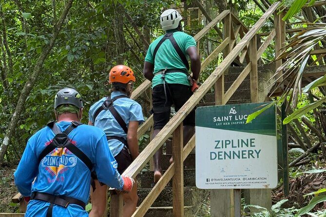 St. Lucia Horseback Riding & Zip Lining Adventure Tour - St. Lucia Horseback Riding & Zip Lining Adventure Tour: A Balanced Look at a Thrilling Day