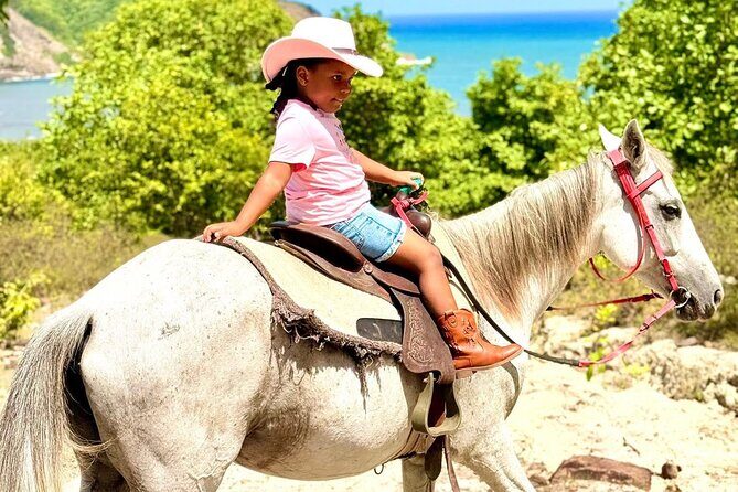St. Lucia Horseback Riding & Zip Lining Adventure Tour - Who Will Love This Tour?