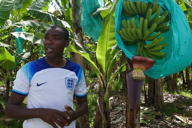 St Lucia Island Excursion Day Tour - Frequently Asked Questions