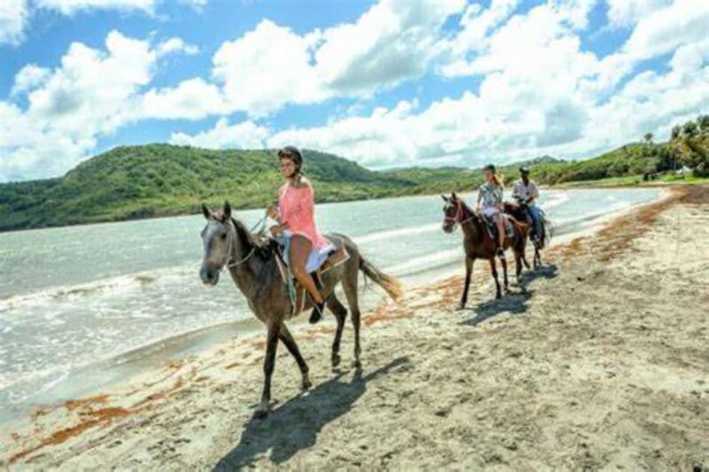 St. Lucia: Island Memories 5-Day Tour - An In-Depth Look at the St. Lucia: Island Memories Tour