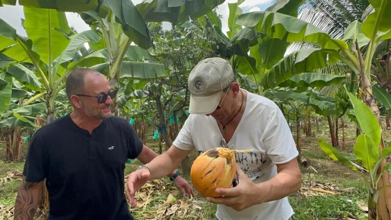 St. Lucia: Marigot Bay and Banana Plantation Tour - Starting Point: Castries Cruise Ship Terminals