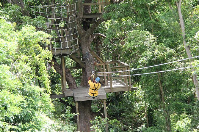 St. Lucia Morne Coubaril Estate Zipline Experience - FAQ
