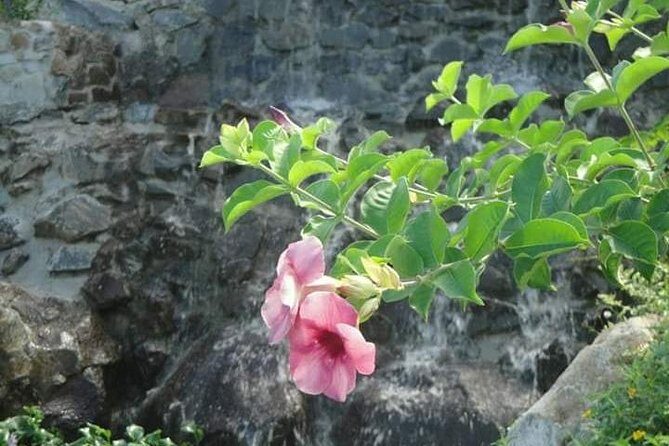 St Lucia Northern Island Tour - Key Points